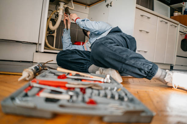 Best Local Plumber Services  in Gray Summit, MO